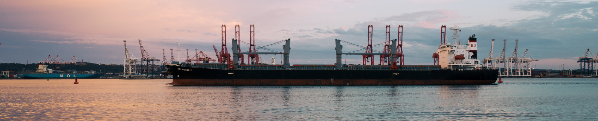 Consignation Maritime Banner